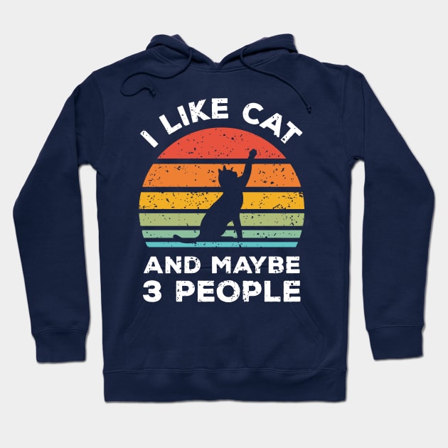 I Like Cat and Maybe 3 People, Retro Vintage Sunset with Style Old Grainy Grunge Texture Hoodie by Ardhsells